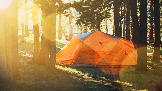 tent in quarantino